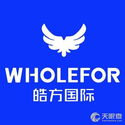 国际贸易新机遇 上海企业网站如何成为全球化布局的关键引擎